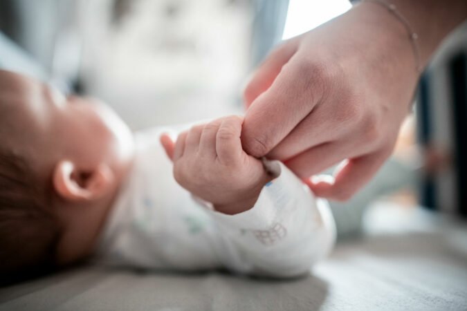 Lindjet ranë me 5% në vitin 2024, ekspertët kërkojnë masa urgjente