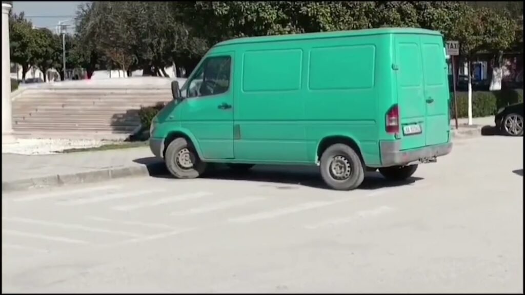DIMAL, FRIKË NGA QENTË ENDACAKË DIMAL, FRIKË NGA QENTË ENDACAKË