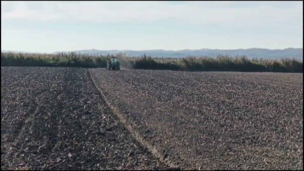 LUSHNJE, ÇDO DITË E MË SHUMË TOKAT PO LIHEN DJERR