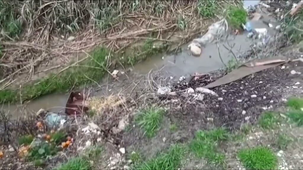 DIVJAKË, PLEHRAT PËRHAPEN NË KANAL DHE NUK PASTROHEN! DIVJAKË, PLEHRAT PËRHAPEN NË KANAL DHE NUK PASTROHEN!