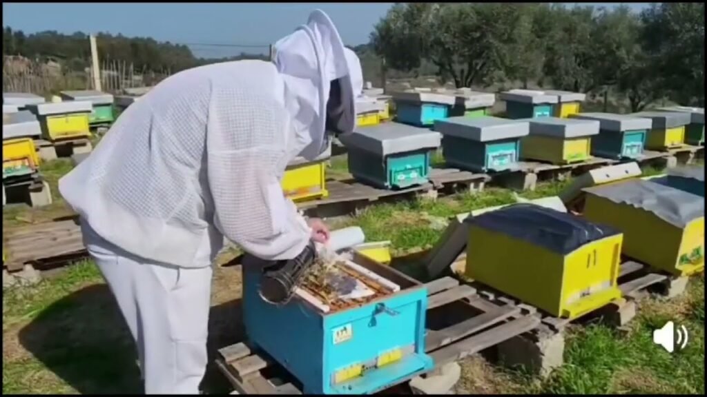 EUGERTI, MATURANTI FIERAK QË KUJDESËT PËR 150 KOSHERE BLETËSH EUGERTI, MATURANTI FIERAK QË KUJDESËT PËR 150 KOSHERE BLETËSH