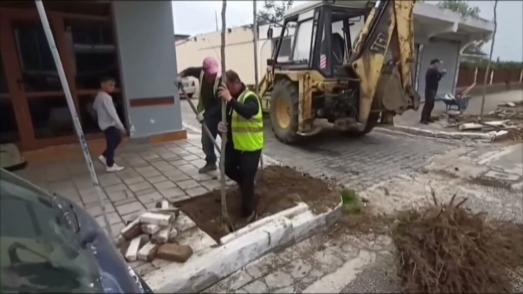 LUSHNJE, 100 PEMË MBILLEN NË RRUGËN AHMET ZOGU LUSHNJE, 100 PEMË MBILLEN NË RRUGËN AHMET ZOGU