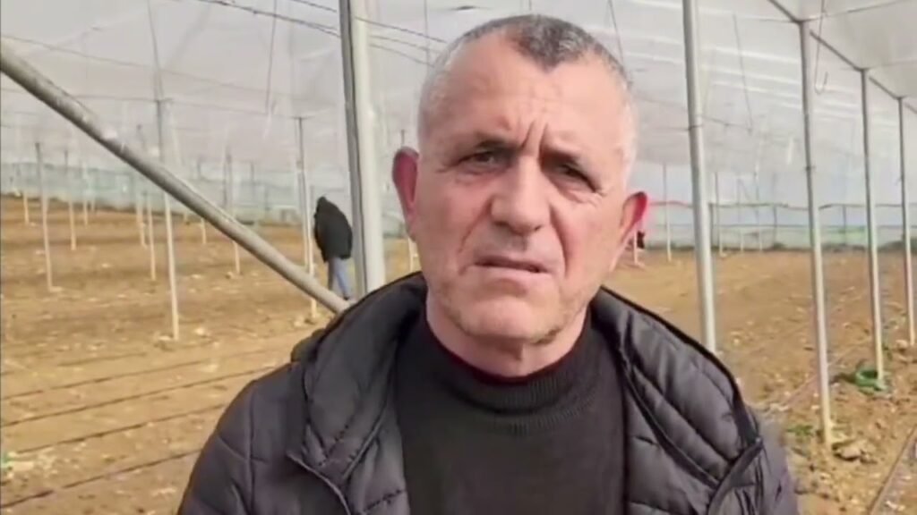 NË FIER NIS MBJELLJA E FIDANËVE NË SERA NË FIER NIS MBJELLJA E FIDANËVE NË SERA