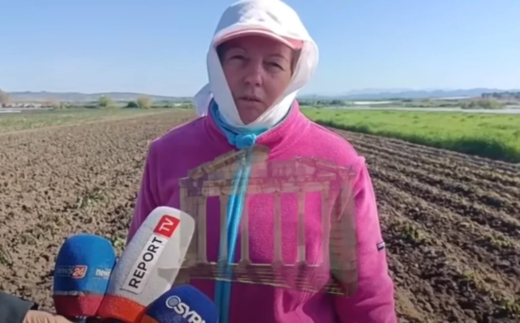Ulja e temperaturave ndikon rëndë në prodhimin e patates në Divjakë – Dëmet e shkaktuara dhe pasojat për fermerët dhe konsumatorët Ulja e temperaturave ndikon rëndë në prodhimin e patates në Divjakë – Dëmet e shkaktuara dhe pasojat për fermerët dhe konsumatorët
