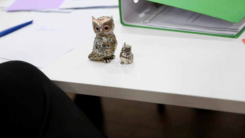 VIDEO Edi Rama: Takimi Inagurues i Komitetit të Përbashkët Konsultativ me Komitetin Ekonomik dhe Social