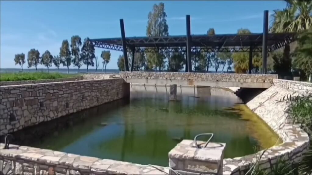 FLAMINGOT “PUSHTOJNË” LAGUNËN E KARAVASTASË
