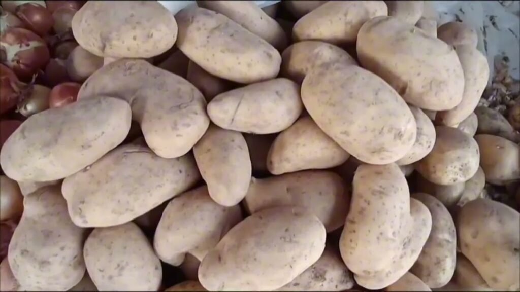 RRITEN ÇMIMET E PRODUKTEVE TË SHPORTËS RRITEN ÇMIMET E PRODUKTEVE TË SHPORTËS