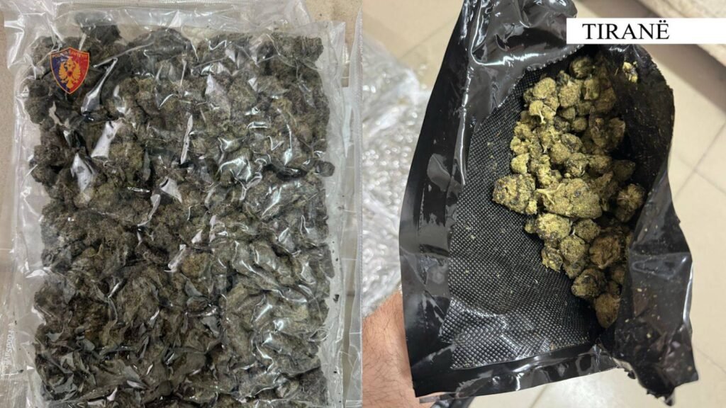 Intensifikohen hetimet dhe operacionet kundër trafikimit të Cannabisit në Tiranë Intensifikohen hetimet dhe operacionet kundër trafikimit të Cannabisit në Tiranë