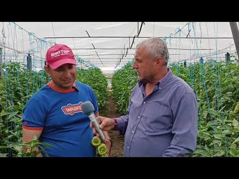 Fermeri kërkon zgjidhje për sfidat e tregut bujqësor në Lushnje Fermeri kërkon zgjidhje për sfidat e tregut bujqësor në Lushnje