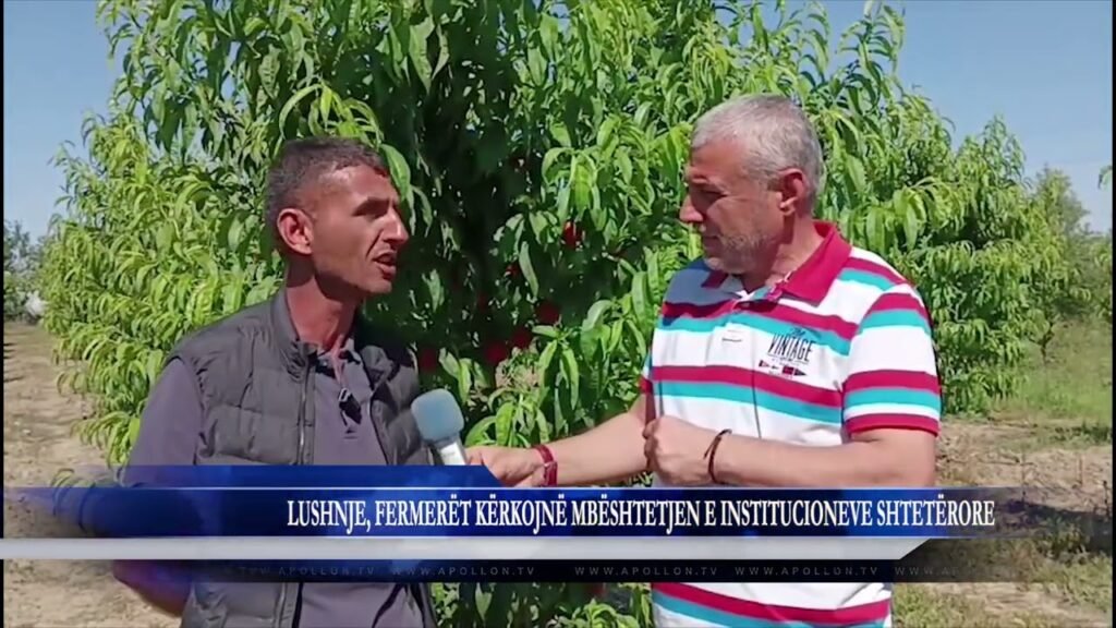 KRONIKË: LUSHNJE, FERMERËT KËRKOJNË MBËSHTETJEN E INSTITUCIONEVE SHTETËRORE