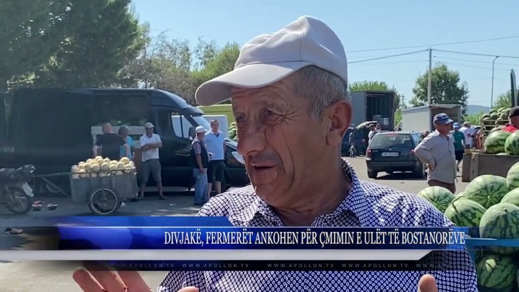 DIVJAKË, FERMERËT ANKOHEN PËR ÇMIMIN E ULËT TË BOSTANORËVE DIVJAKË, FERMERËT ANKOHEN PËR ÇMIMIN E ULËT TË BOSTANORËVE
