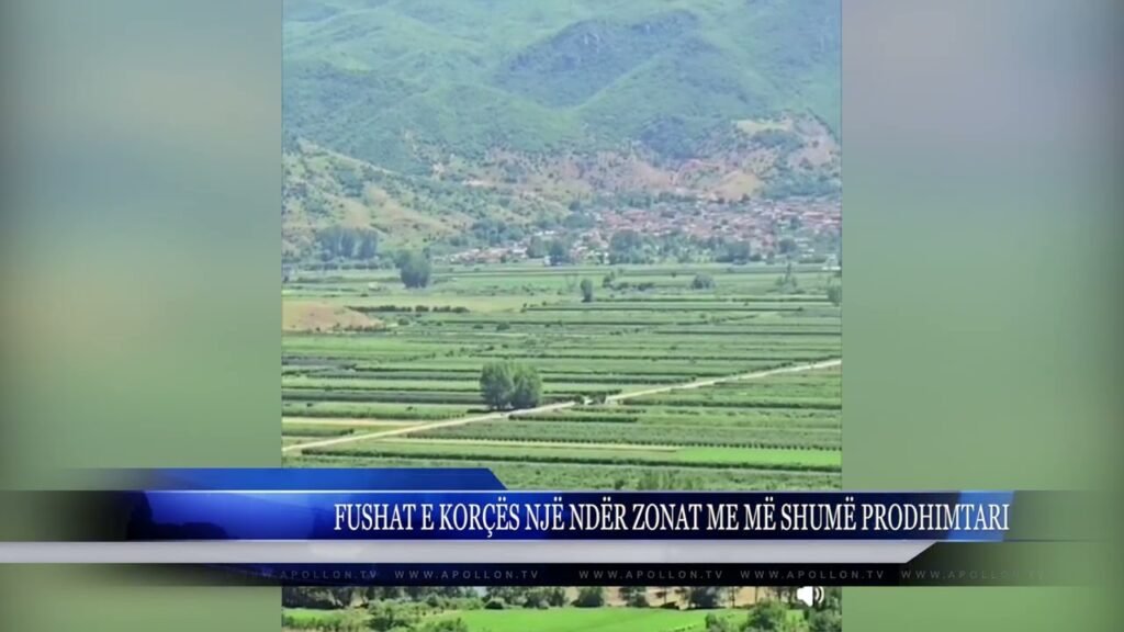 FUSHAT E KORÇËS NJË NDËR ZONAT ME MË SHUMË PRODHIMTARI FUSHAT E KORÇËS NJË NDËR ZONAT ME MË SHUMË PRODHIMTARI