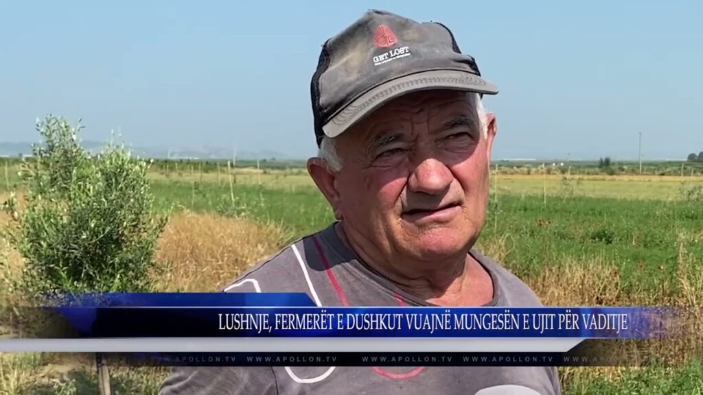 LUSHNJE, FERMERËT E DUSHKUT VUAJNË MUNGESËN E UJIT PËR VADITJE LUSHNJE, FERMERËT E DUSHKUT VUAJNË MUNGESËN E UJIT PËR VADITJE