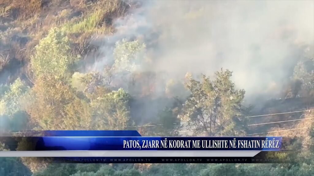 PATOS, ZJARR NË KODRAT ME ULLISHTE NË FSHATIN RËRËZ PATOS, ZJARR NË KODRAT ME ULLISHTE NË FSHATIN RËRËZ