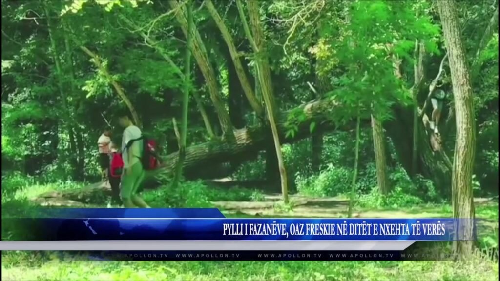 PYLLI I FAZANËVE, OAZ FRESKIE NË DITËT E NXEHTA TË VERËS PYLLI I FAZANËVE, OAZ FRESKIE NË DITËT E NXEHTA TË VERËS