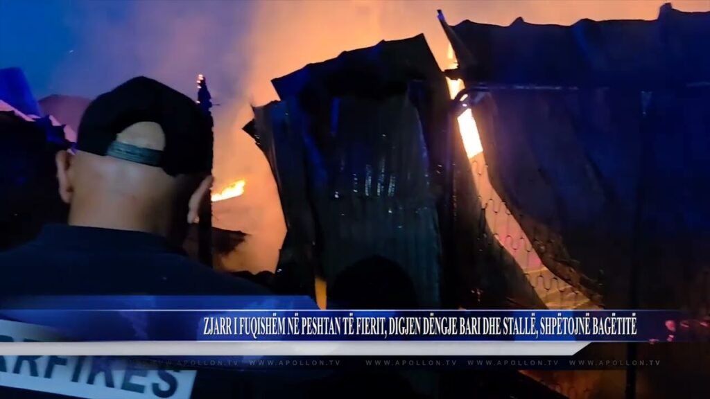 ZJARR I FUQISHËM NË PESHTAN TË FIERIT, DIGJEN DËNGJE BARI DHE STALLË, SHPËTOJNË BAGËTITË ZJARR I FUQISHËM NË PESHTAN TË FIERIT, DIGJEN DËNGJE BARI DHE STALLË, SHPËTOJNË BAGËTITË