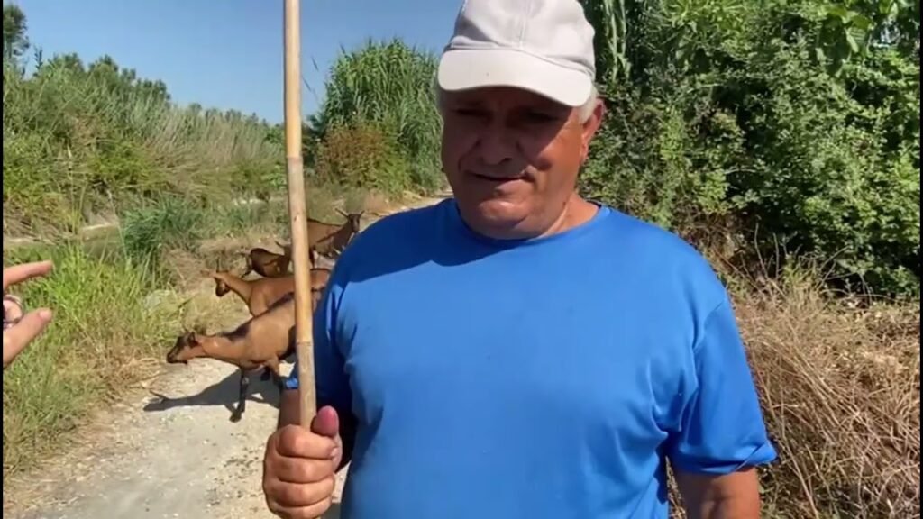Blegtoria ne Lushnje, sektor me shume veshtiresi Blegtoria ne Lushnje, sektor me shume veshtiresi