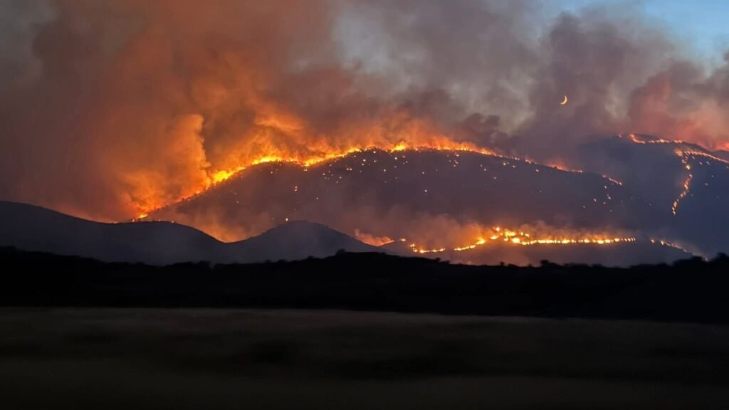 Bashkitë marin 21 milionë euro për mbrojtjen nga zjarri në 2025