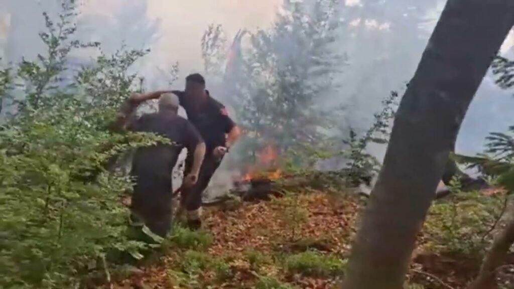 Flakët shkrumbojnë parkun në Bulqizë. Disa vatra aktive në Zall Gjoçaj, Klos dhe në Lurë Flakët shkrumbojnë parkun në Bulqizë. Disa vatra aktive në Zall Gjoçaj, Klos dhe në Lurë