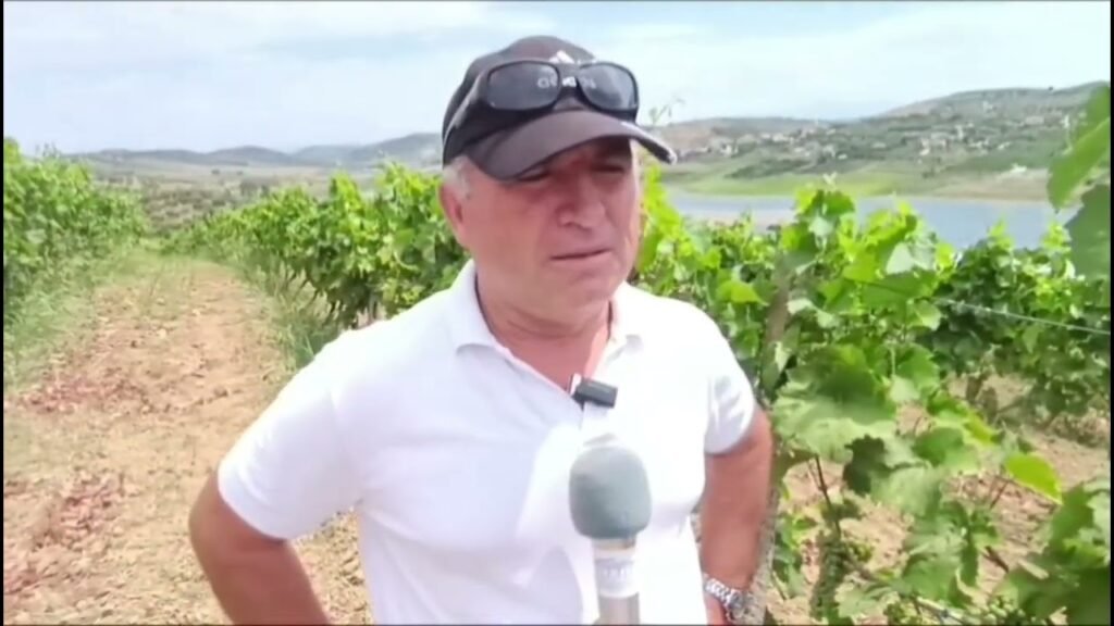 Fshati Kupas dhe vreshtaria e Gezim Toskës Fshati Kupas dhe vreshtaria e Gezim Toskës