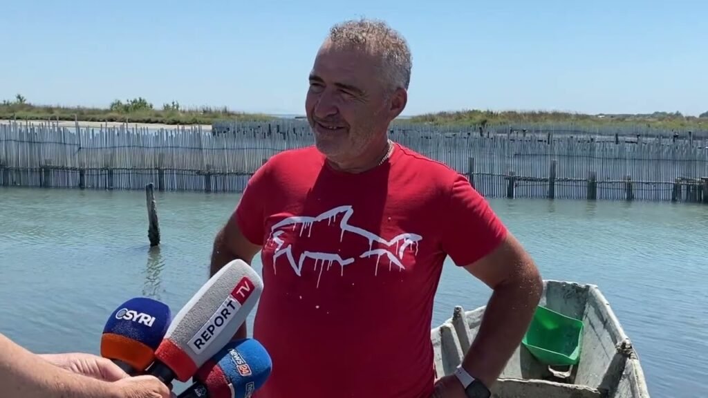 Gaforrja blu po shkatërron sektorin e peshkimit në Karavasta