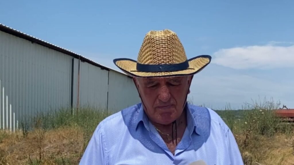 Kultura e grurit në Myzeqe, dekada me radhë zinte mbi 50% të tokës arë Kultura e grurit në Myzeqe, dekada me radhë zinte mbi 50% të tokës arë