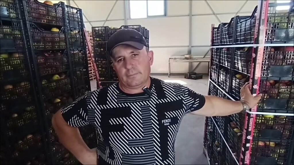 Pjeshket dhe nektarinat e fshatit Gjocaj konkurrojnë fuqishëm në tregjet europiane