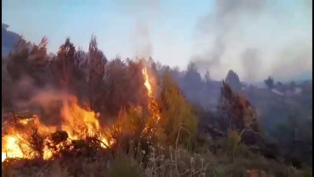 Riaktivizohet zjarri ne Drenovë te Mallakastrës Riaktivizohet zjarri ne Drenovë te Mallakastrës