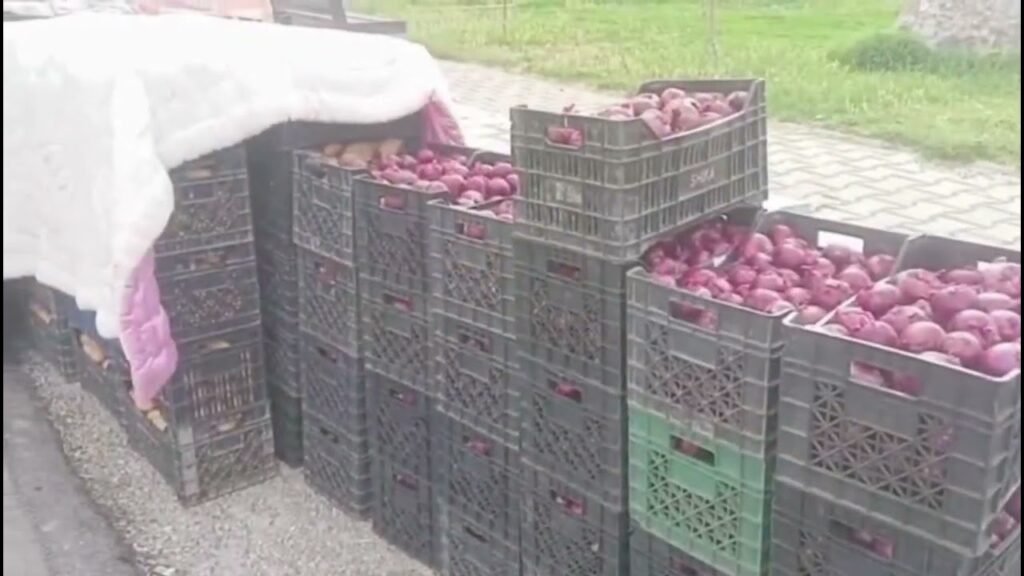 Valiterna, zona me tradita në bujqësi