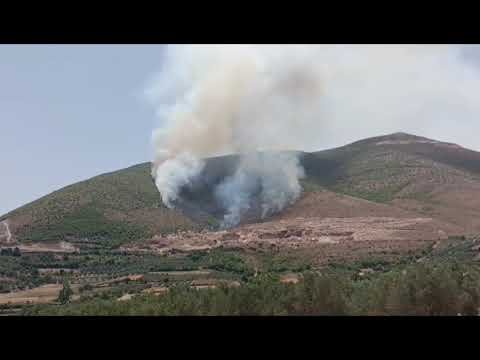 Zjarr i pakontrolluar në Malin e Shpiragut, digjen hektarë me shkurre dhe pyje
