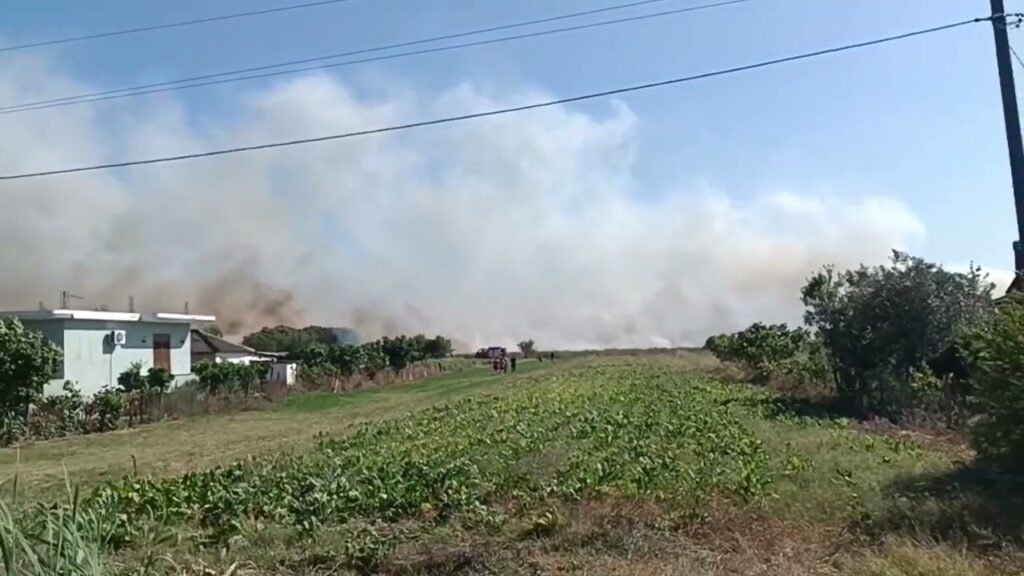 Zjarr i rrezikshëm përhapet në Krutje, banorët dhe zjarrfikësit përballë flakëve në tokat me ullinj Zjarr i rrezikshëm përhapet në Krutje, banorët dhe zjarrfikësit përballë flakëve në tokat me ullinj