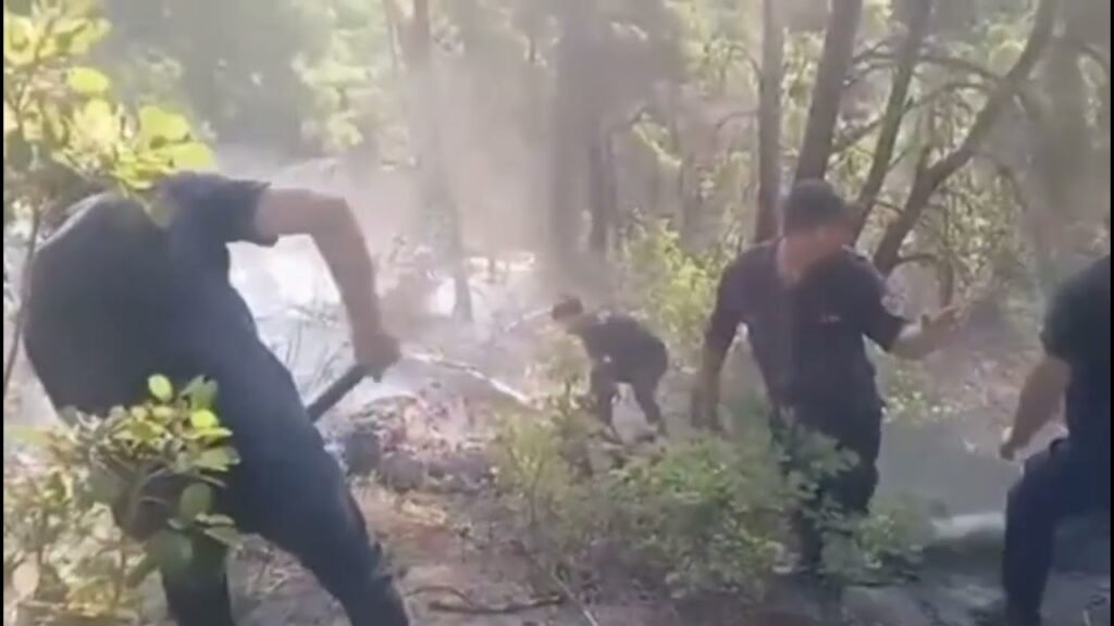 18 vatra zjarri gjatë 24 orëve të fundit, vijojnë flakët në 6 qarqe