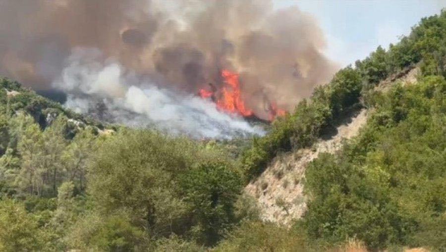 Bashkitë kërkojnë fonde më të mëdha për përballimin e zjarreve