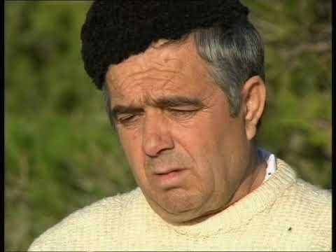 Andrea Prifti humor i realizuar nga TV Apollon