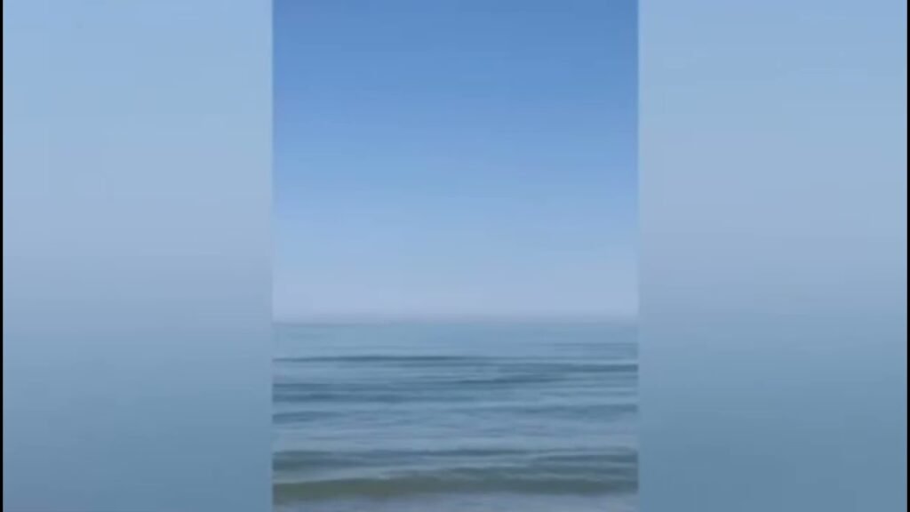 Delfinët i afrohen bregdetit të Darzezës, duartrokiten nga pushuesit