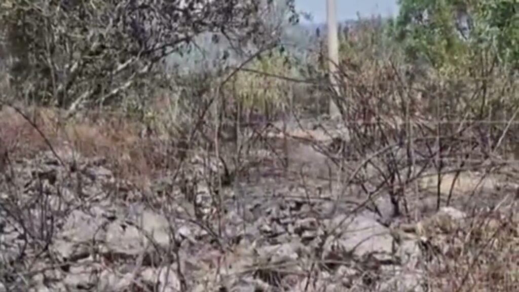 Delvinë: Aktivizohet zjarri në fshatin Varfaj, dëm i jashtëzakonshëm nga flakët Delvinë: Aktivizohet zjarri në fshatin Varfaj, dëm i jashtëzakonshëm nga flakët