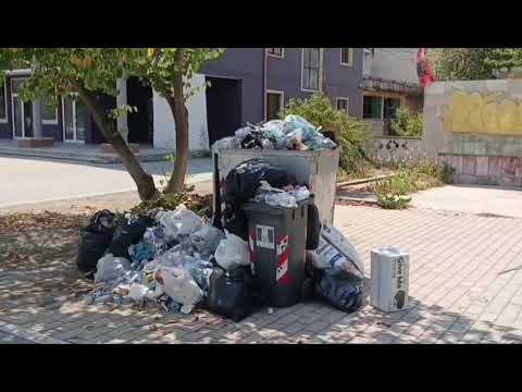 Divjaka e mbuluar nga mbeturinat në rrugët kryesore