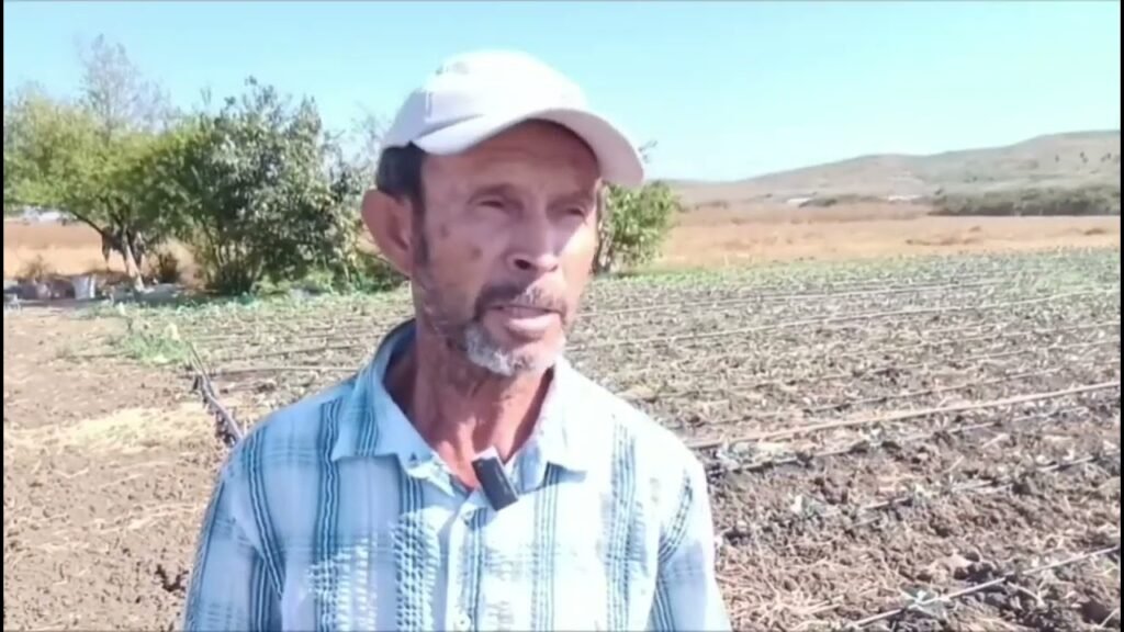Divjakë, fermeri Kol Monçe, 67 vjeç: Një jetë me tokën, mes sakrificave dhe shpresës për mbështetje Divjakë, fermeri Kol Monçe, 67 vjeç: Një jetë me tokën, mes sakrificave dhe shpresës për mbështetje