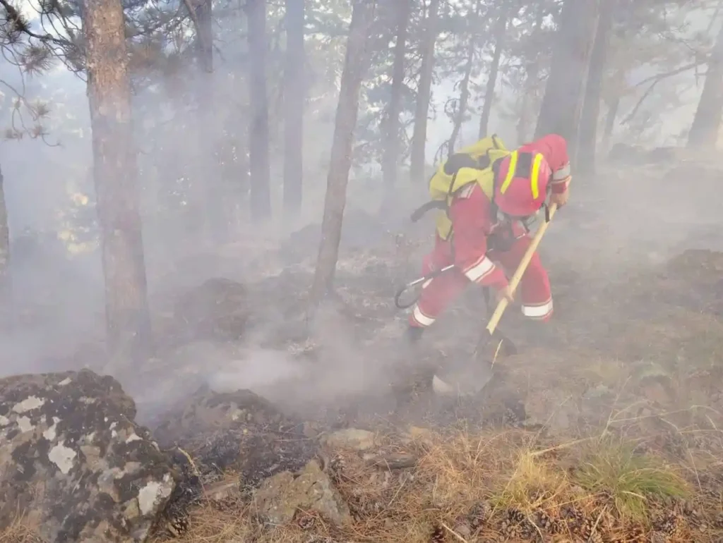 Zjarri në Parkun e Gërmenjit nën kontroll të pjesshëm