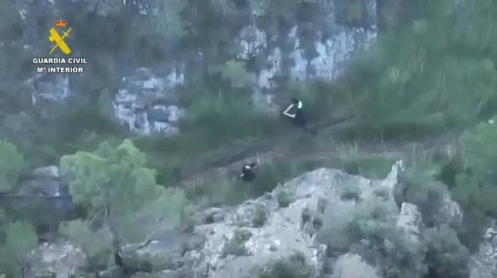 Shqiptarë të arrestuar për sera kanabisi në Spanjë