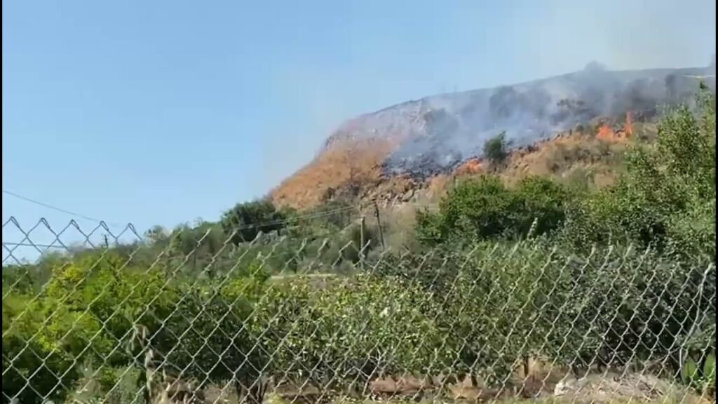 Flakët e zjarrit kanë përfshirë ullishte dhe sipërfaqe me shkurre të thata në fshatin Sejmenas