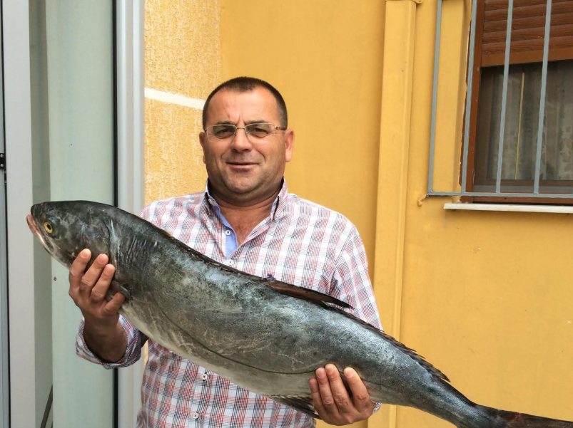 Ligor Doko, ja kush është pronari i hotelit që mbajti të fshehur killerin Polé Qorri