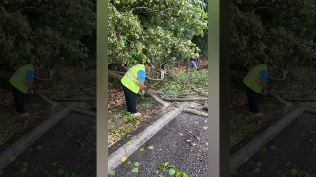 Lushnja përfshihet nga një stuhi disa minutëshe, ndërhyrja e shpejtë shmang pasojat e rënda Lushnja përfshihet nga një stuhi disa minutëshe, ndërhyrja e shpejtë shmang pasojat e rënda