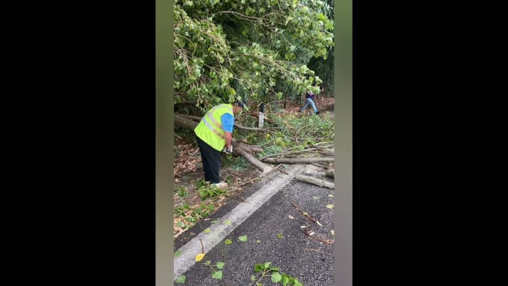Stuhia e papritur godet Lushnjen dhe zonat përreth, ja dëmet e shkaktuara