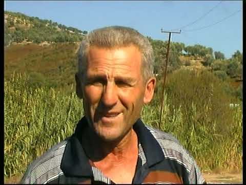 Terror në breza, Qazim dhe Rrapo Nazeraj nga Enver Shehu