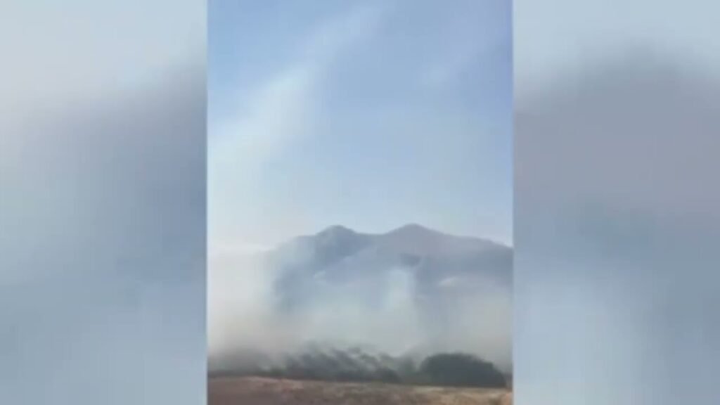 Zjarr në fshatin Vajzë të Selenicës, digjen ullishte e sipërfaqe pemëtari