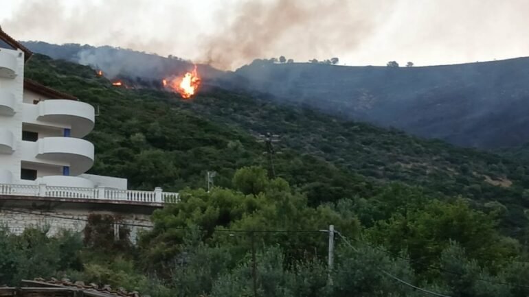 Tre të arrestuar për zjarrvënie në Dibër, digjen mijëra hektarë toka me bimësi