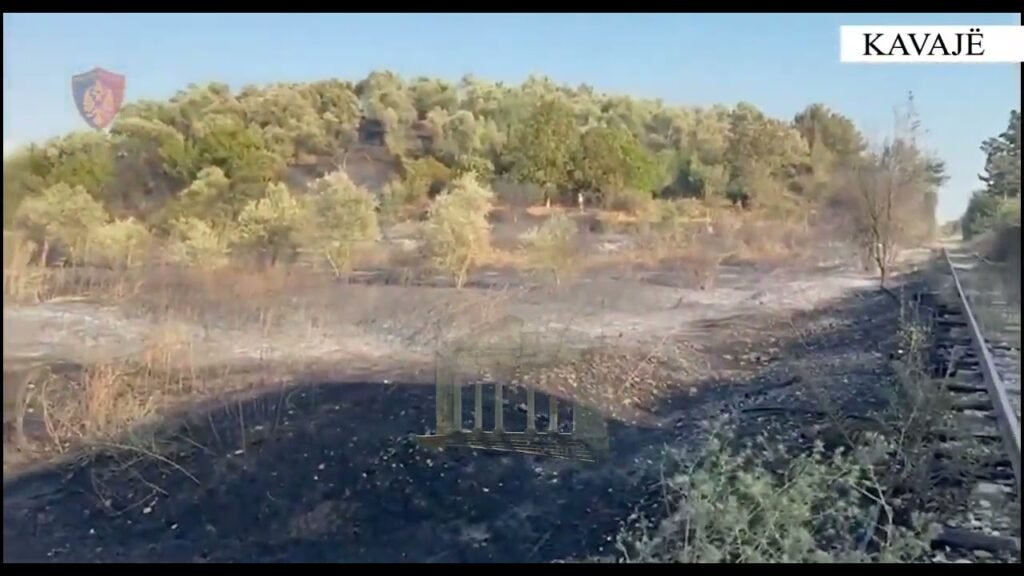 Zjarrvënësi në Kavajë përfundon në pranga pas flakëve në Kryeluzaj Zjarrvënësi në Kavajë përfundon në pranga pas flakëve në Kryeluzaj