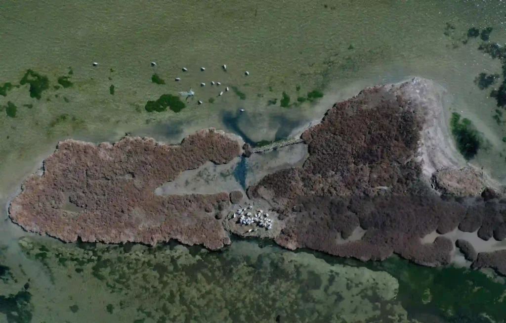 IUCN i kërkon Shqipërisë të ndryshojë ligjin për zonat e mbrojtura