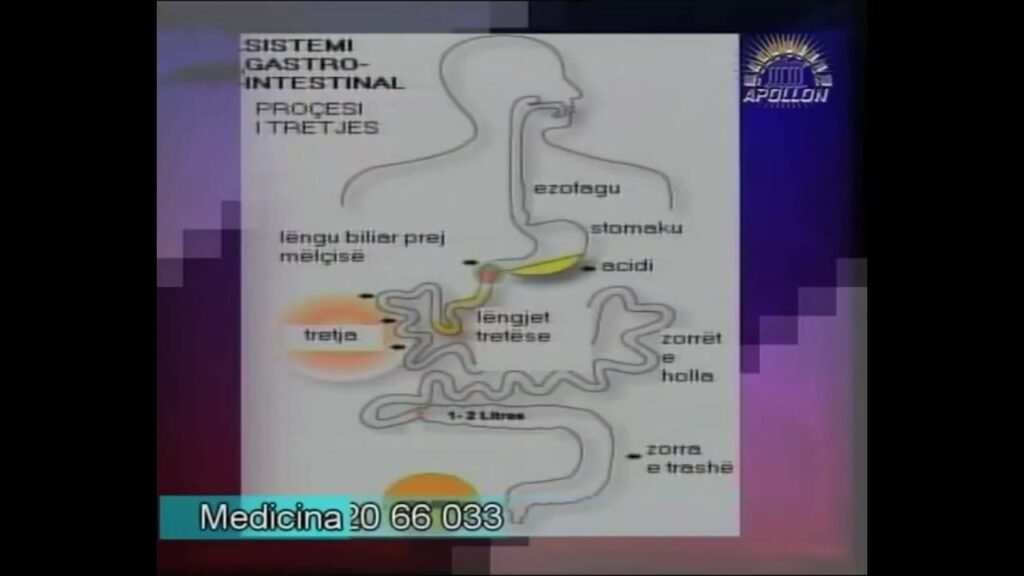Mjeku Gastrohepatolog Aleks Sulejmani shpjegon funksionet e aparatit tretës (arkivë)